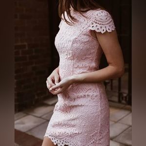 Ever New Dusty Rose Lace Dress US 10